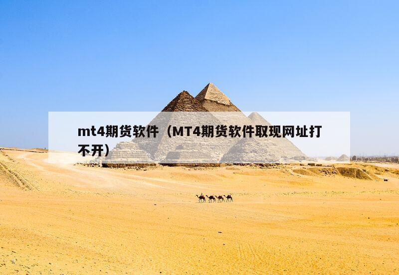 mt4期货软件（MT4期货软件取现网址打不开）,第1张